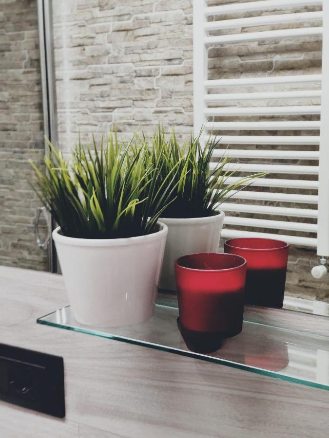 Elegant Apartment In Inner City At Vatican - Netflix And Optical Fiber Roma Dış mekan fotoğraf